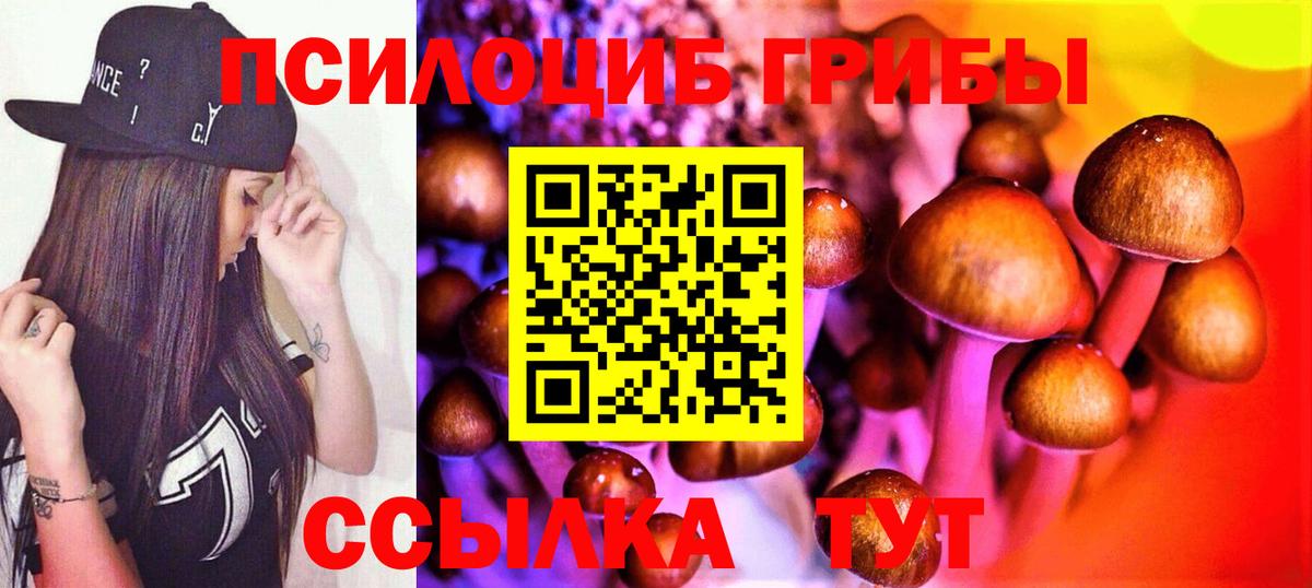 Белово  Псилоцибиновые грибы MAGIC MUSHROOMS  Вход с VPN  закладка  Галлюциногенные грибы Psilocybe 